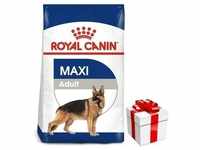 ROYAL CANIN Maxi Adult 15kg +Überraschung für den Hund (Mit Rabatt-Code ROYAL-5