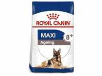 ROYAL CANIN Maxi Ageing 8+ 15kg+Überraschung für den Hund (Mit Rabatt-Code ROYAL-5