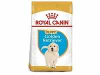 ROYAL CANIN Golden Retriever Junior 12kg+Überraschung für den Hund (Mit...