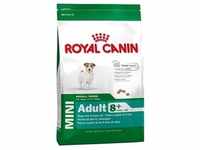 Royal Canin Mini Adult 8+ - 8kg+Überraschung für den Hund (Mit Rabatt-Code ROYAL-5