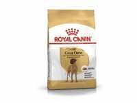 ROYAL CANIN Great Dane Adult 12kg+Überraschung für den Hund (Mit Rabatt-Code