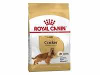 ROYAL CANIN Cocker Spaniel Adult 12kg+Überraschung für den Hund (Mit...