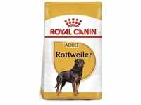 ROYAL CANIN Rottweiler Adult 12kg+Überraschung für den Hund (Mit Rabatt-Code