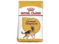 ROYAL CANIN German Shepherd Adult 11kg+Überraschung für den Hund (Mit...