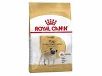 ROYAL CANIN Pug Adult 1,5kg +Überraschung für den Hund (Mit Rabatt-Code ROYAL-5