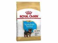 ROYAL CANIN Yorkshire Terrier Junior 1,5kg+Überraschung für den Hund (Mit