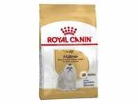 ROYAL CANIN Maltese Adult 1,5kg+Überraschung für den Hund (Mit Rabatt-Code...