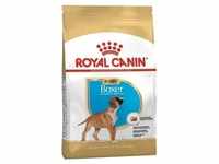 ROYAL CANIN Boxer Junior 12kg+Überraschung für den Hund (Mit Rabatt-Code...