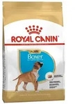 ROYAL CANIN Boxer Junior 12kg
