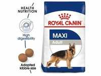 ROYAL CANIN Maxi Adult 4kg für große Rassen+Überraschung für den Hund (Mit