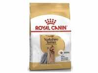 ROYAL CANIN Yorkshire Terrier Adult 500g +Überraschung für den Hund (Mit