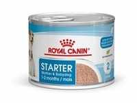 ROYAL CANIN Starter Mousse Mother & Babydog 195g (Mit Rabatt-Code ROYAL-5...