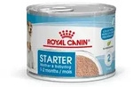 ROYAL CANIN Starter Mousse Mother & Babydog 195g