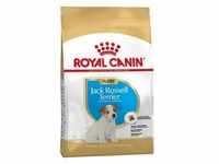 ROYAL CANIN Jack Russell Terrier Junior 3kg+Überraschung für den Hund (Mit