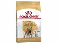 ROYAL CANIN French Bulldog Adult 1,5kg+Überraschung für den Hund (Mit...