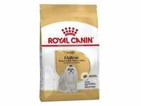 ROYAL CANIN Maltese Adult 500g +Überraschung für den Hund (Mit Rabatt-Code...