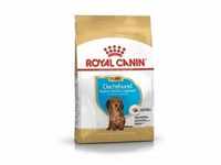 ROYAL CANIN Dachshund Junior 1,5kg+Überraschung für den Hund (Mit Rabatt-Code
