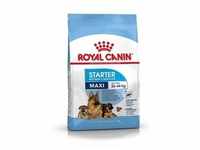 ROYAL CANIN Maxi Starter Mother&Babydog 15kg+Überraschung für den Hund (Mit