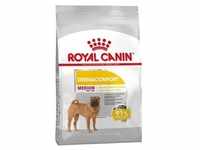 ROYAL CANIN Medium Dermacomfort 3kg +Überraschung für den Hund (Mit...