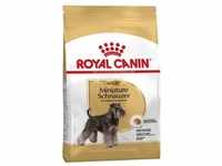 ROYAL CANIN Miniature Schnauzer Adult 3kg +Überraschung für den Hund (Mit