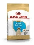 ROYAL CANIN Labrador Retriever Junior 3kg