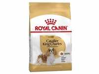 ROYAL CANIN Cavalier King Charles Spaniel Adult 1,5kg+Überraschung für den...