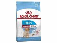 ROYAL CANIN Medium Puppy 4kg +Überraschung für den Hund (Mit Rabatt-Code...