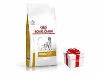 ROYAL CANIN Urinary S/O LP 18 2kg + Überraschung für den Hund (Mit Rabatt-Code