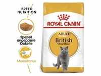 ROYAL CANIN British Shorthair 10kg (Mit Rabatt-Code ROYAL-5 erhalten Sie 5%...