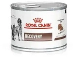 ROYAL CANIN Recovery 195g