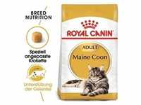 ROYAL CANIN Maine Coon Adult 4kg + Überraschung für die Katze (Mit Rabatt-Code