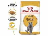ROYAL CANIN British Shorthair Adult 4kg + Überraschung für die Katze (Mit
