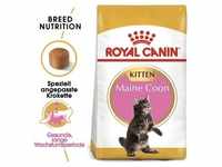 ROYAL CANIN Maine Coon Kitten 4kg + Überraschung für die Katze (Mit...