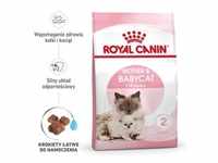 ROYAL CANIN Mother&Babycat 2kg + Überraschung für die Katze (Mit Rabatt-Code
