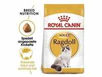ROYAL CANIN Ragdoll Adult 2kg + Überraschung für die Katze (Mit Rabatt-Code...