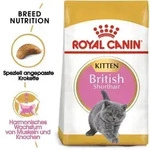 ROYAL CANIN British Shorthair Kitten 2kg