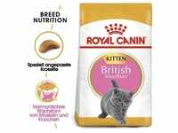 ROYAL CANIN British Shorthair Kitten 10kg (Mit Rabatt-Code ROYAL-5 erhalten Sie...