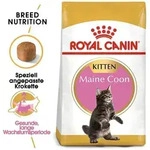 ROYAL CANIN Maine Coon Kitten 10kg