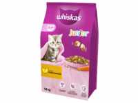 WHISKAS Junior Chicken Huhn 14kg + Überraschung für die Katze (Rabatt für