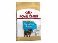 ROYAL CANIN Yorkshire Terrier Junior 7,5kg+Überraschung für den Hund (Mit