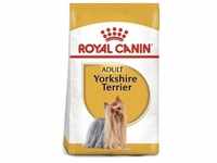 ROYAL CANIN Yorkshire Terrier Adult 3kg+Überraschung für den Hund (Mit...