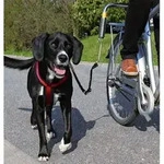 TRIXIE-Fahrradset