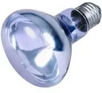 TRIXIE Neodymium W&auml;rme-Spot-Lampe 75 W