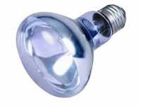 TRIXIE Neodymium Wärme-Spot-Lampe 100W (Rabatt für Stammkunden 3%)