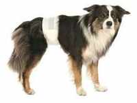TRIXIE Windeln für erwachsene Hunde 12 Stück L-XL 60-80 cm (Rabatt für Stammkunden