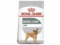 ROYAL CANIN CCN Mini Dental Care 3kg+Überraschung für den Hund (Mit...