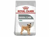 ROYAL CANIN CCN Mini Dental Care 8kg+Überraschung für den Hund (Mit Rabatt-Code