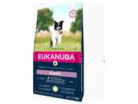 EUKANUBA Puppy&Junior Small/Medium Lamb&Rice 12kg + Überraschung für den Hund