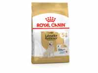 ROYAL CANIN Labrador +5 3kg (Mit Rabatt-Code ROYAL-5 erhalten Sie 5% Rabatt!)