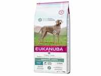 Eukanuba Daily Care Sensitive Joints 12 kg + Überraschung für den Hund (Rabatt für